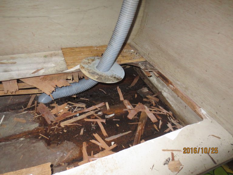 和泉市借家 漏水から床が腐る!?皆さんもたかが水漏れはダメですよ 和泉市、泉大津市、高石市、岸和田市のリフォームはシンタニにお任せ下さい! 和泉市借家 漏水から床が腐る!?皆さんもたかが水漏れはダメですよ 和泉市、泉大津市、高石市、岸和田市のリフォームはシンタニにお任せ下さい!